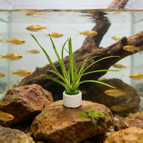 12 Set New Upgrade Aquarium Plant Weights, Anti-Floating Ceramic Water Grass Planting 3-Piece Set, Aquarium Landscape Decor for Fish Tank/Aquarium Accessories - size: 4.5cm/1.77inch×3.2cm/1.26inch