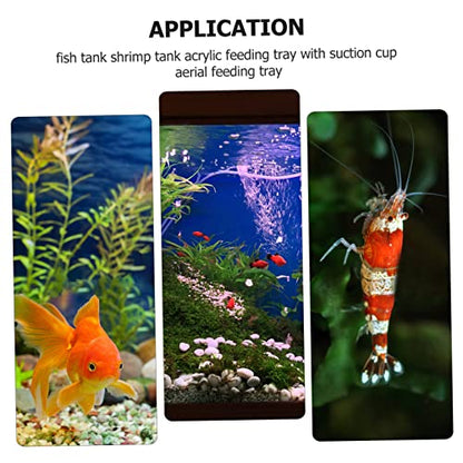 4pcs Transparent Acrylic Fish Feeder Bowl with Cups for Easy Installation Home Aquariums for Fish and Shrimp Feeding and Water Plant Container