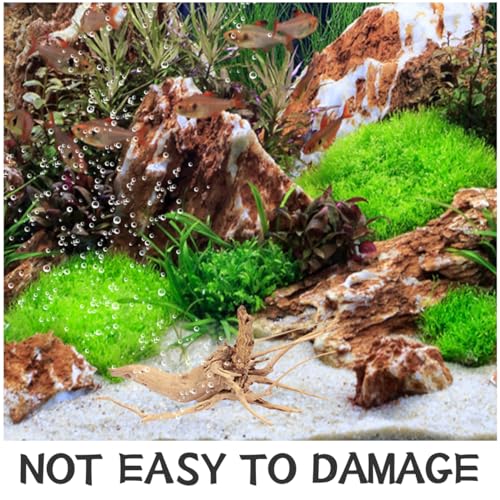 Kisangel Natural Driftwood Branch Aquarium Decoration 7.87 Inch Real Wood Fish Tank Ornament for Freshwater Aquatic Plant Anchoring and Fish Shelter