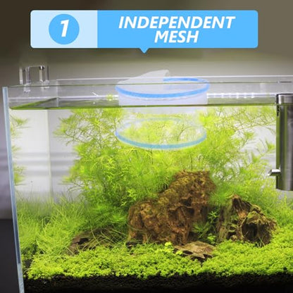 WOONEKY Aquarium Breeder Net Floating Fish Hatchery Tank, Nylon Mesh Isolation Box with Lid for Guppy Fry Separation and Spawning Nursery in Indoor Fish Tanks