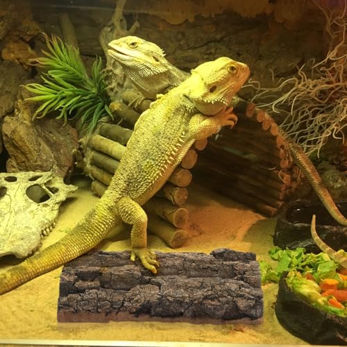 Homoyoyo 3pcs Bark Decorative Background for Reptile Tanks and Aquariums Safe for Pets Habitat Aesthetics Easy to Install