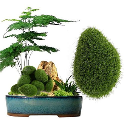 10PCS Artificial Moss Rocks Decorative Faux Green Moss Balls Stone Decoration Moss Covered Stones for Floral Arrangements, Fairy Garden Crafting