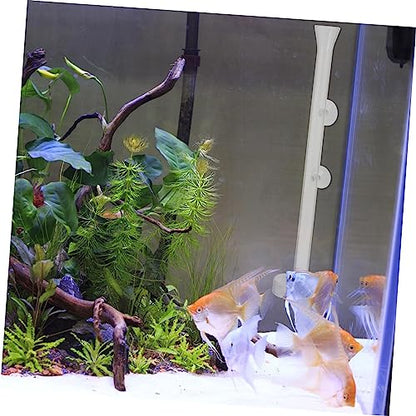 1set Shrimp Feeder with Shrimp Tray Glass Aquarium Device for Fish Tanks High Design for Enhanced Aesthetics - size: 6X6X25CM