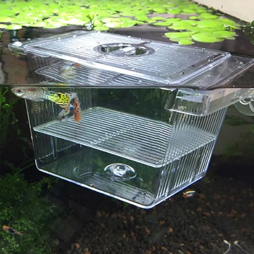 Fish Breeding Box, Transparent Insulation Breeder Box for Fish Tank, Detachable Plastic for Babies Shrimp (5x3x3 inch)