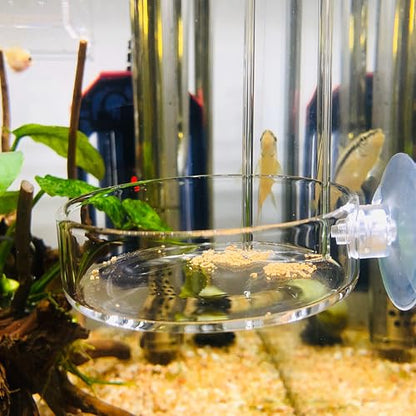 Aquarium Glass Feeder Shrimp Feeding Dish Round Clear Fish Tank Food Tray Container Prevent Food Spilling with Suction Cup, 65mm - size: 65mm