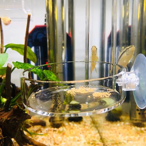 Aquarium Glass Feeder Shrimp Feeding Dish Round Clear Fish Tank Food Tray Container Prevent Food Spilling with Suction Cup, 60mm - size: 60mm