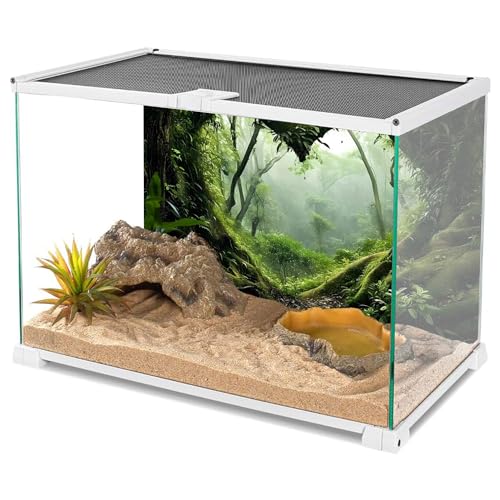 AWERT 24x12 inches Polyester Tropical Rainforest Terrarium Background Stream Green Huge Tree Reptile Habitat Background Foggy Rainforest Aquarium Background - size: 24x12in/60x30cm