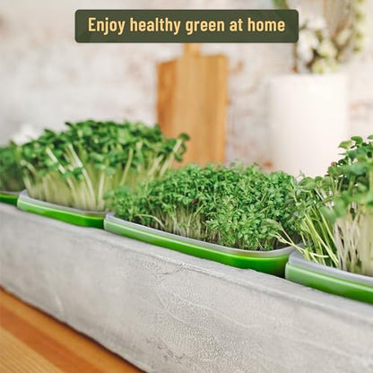 Pack 10 of Seed Sprouter Tray with Drain Holes,Seed Germination Trays Kit BPA Free Nursery Tray,Soil-Free Wheatgrass Tray Sprouter Microgreens Growing Kit (Green-10 Pack) - color: Green-10 Pack