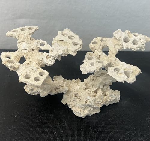 Coral Plug Holder, Natural Rock Frag Coral Growth (Natural White, Medium) - color: Natural White, size: Medium