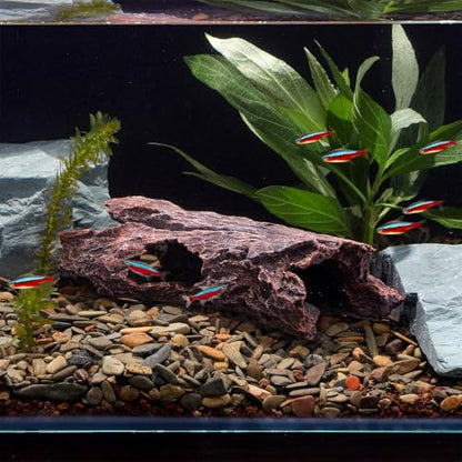 IBWell Aquarium Caves Decor Fish House for Betta Tree Log Hideout Tank Accessories Resin Simulated Hollow Trunk Reptile Shelter for Corn Snakes Lizards