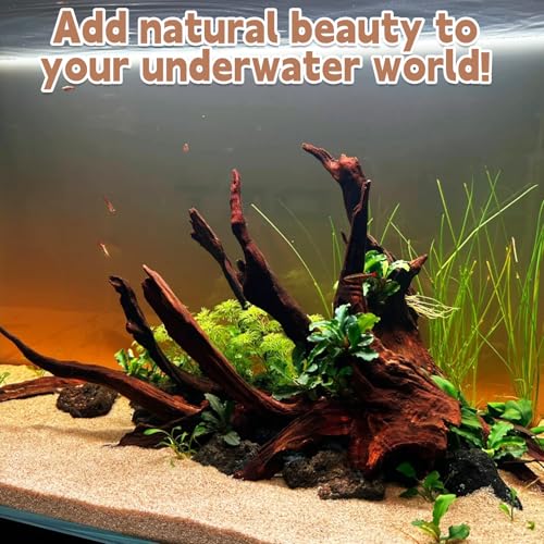 Natural Large Driftwood for Aquarium Fish Tank Decorations, Driftwood for Reptile Tank Bearded Dragon Tank Accessories Terrarium Decor (7.5 to 14.5 inches / 2 Pack)