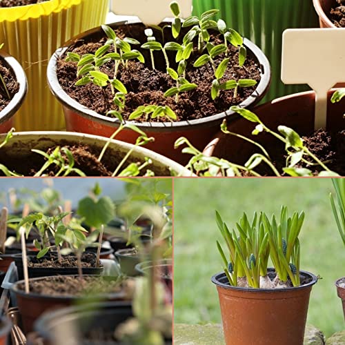 KINGLAKE 100 Pcs 4" Plastic Plants Nursery Pot/Pots Seedlings Flower Plant Container Seed Starting Pots,4 Inch,Red - color: Red, size: 4 Inch