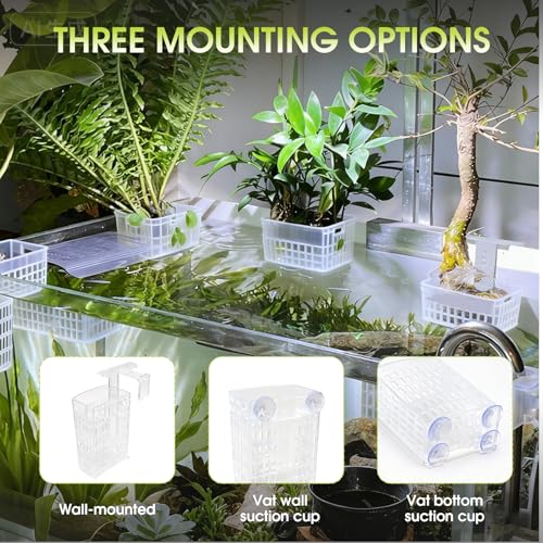 4 PCS Upgraded Aquarium Plant Holder, Adjustable Thickness Height Fish Tank Plant Holder with 4 Extension Hooks and 4 Suction Cups for Fish Tank Aquaponic Plant Cultivation (Clear)