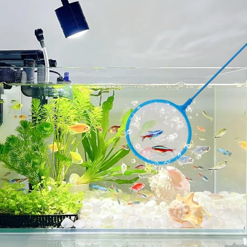 4 Pcs Mini Brine Shrimp Net Aquarium Fish Net Random Color Fish Net for Fish Tank for All Fish