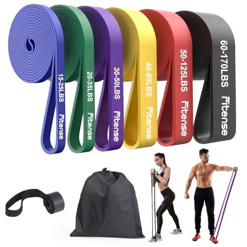 Fitense Resistance Bands Set - Pull Up Bands for Men Women, Exercise Bands Resistance with Door Anchor, Training Poster & Pouch for Body Stretching, Pull Up Assist - color: (15-170LBS) - Colorful-black/red/yellow/purple/green/blue