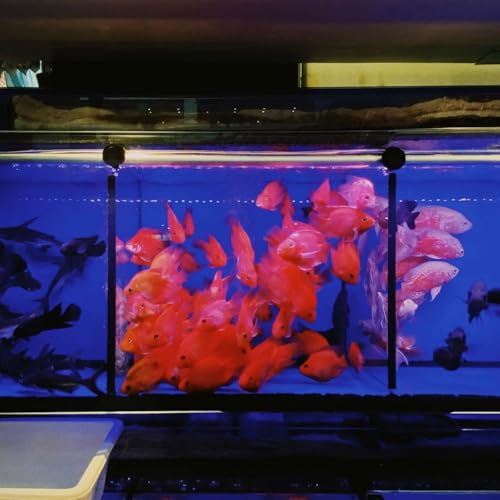 uxcell 2Pcs Aquarium Fish Tank Divider, 12x12 Inch Plastic Egg Crate Light Diffuser Grid Filter Bottom Partition Separator with Sucker Clips and Suction Cups for Aquarium, Black