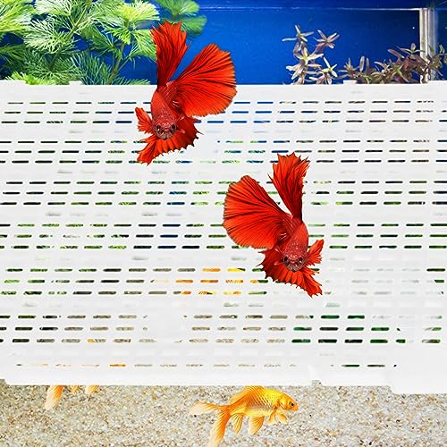 Toyvian 4pcs Aquarium Divider Panel Transparent Fish Separator for Betta Fish Easy Install Cups Cuttable for Various Tank Isolation Board