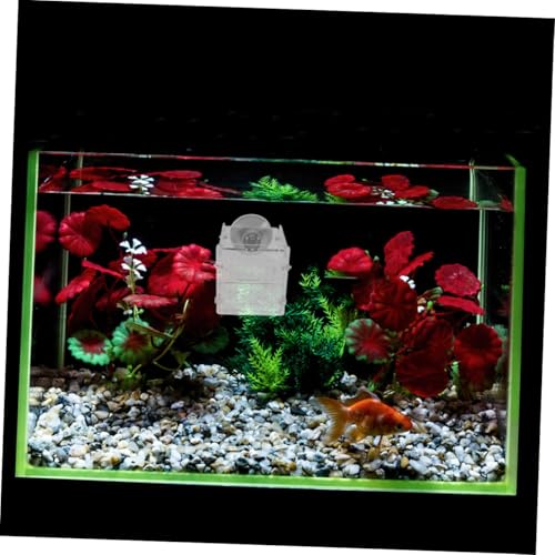 Toddmomy 2pcs Acrylic Fish Breeding Box Isolation Box Fish Separator for Aquarium Hatchery Incubator with Suction Cup for Shrimp Clownfish Guppy