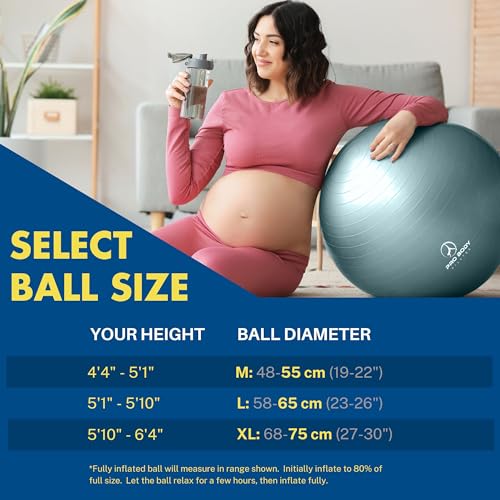 ProBody Pilates Pregnancy Ball with Guide - Birthing Ball - color: Mist, size: 65 cm: 5'1" - 5'10"