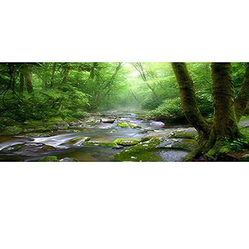 36x14 inches Rainforest Terrarium Background - Deep Forest Tank Aquarium Background with Sunny Stream Stones, Trees, Grass, Tropical Plants - Durable Polyester - size: 36x14in-P