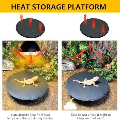 Reptile Basking Platform,7.8IN Tortoise Rock Slate Plate Feeding Food Bowl Dish Turtle Bathing Resting Terrace for Lizard Bearded Dragon Chameleon Gecko Snake Frog Newt - size: 7.8inch(1pcs)