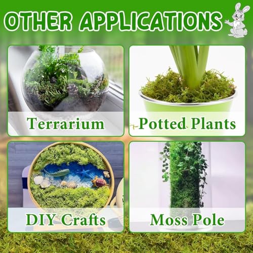12QT Small Animals Bedding & Nesting Material, Forest Moss for Odor Control Rabbits Squirrels Hamsters Guinea Pigs, Soft & Safe for Small Animals Cages Terrariums Reptiles Plants