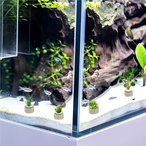25 Sets Aquarium Plant Anchors Sturdy Ceramic Pots Prevent Floating Secure Root Growth Easy Use for Various Aquatic Plants