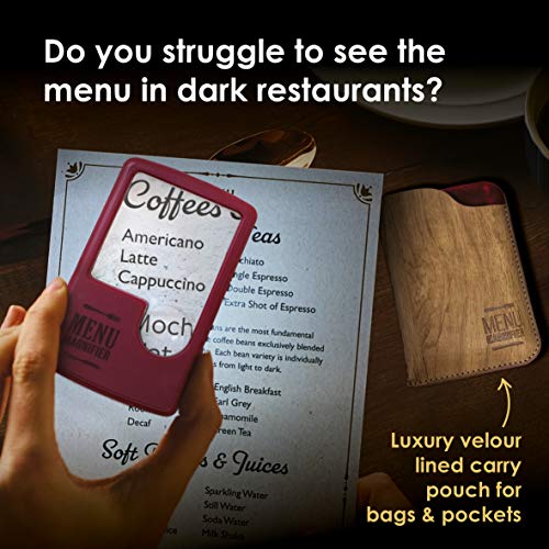 IF IF Light Up Menu Magnifier-Aqua, Turquoise, One Size