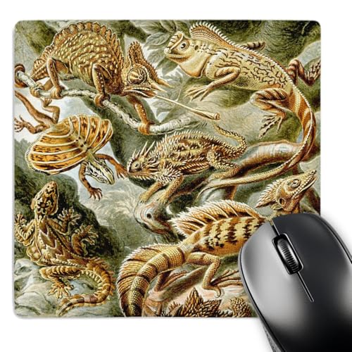 3dRose Lizards and Reptiles Art Print - Reptile Breeds and Species -... - Mouse Pads (mp-365423-1)