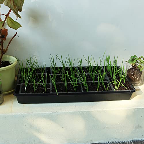 Gardzen 10 Pack Seed Trays, Reusable Plant Grow Trays, Ideal for Seed Starting, Microgreens, Indoor Gardening, and Greenhouse Nurseries - No Drain Holes, 20"x10" - size: 21L x 11W x 2.4H