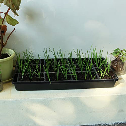 Gardzen 10 Pack Seed Trays, Reusable Plant Grow Trays, Ideal for Seed Starting, Microgreens, Indoor Gardening, and Greenhouse Nurseries - No Drain Holes, 20"x10" - size: 21L x 11W x 2.4H