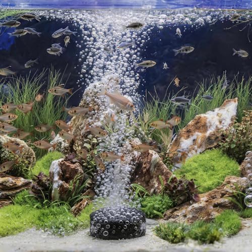 1.6 Inch Air Stone, Aquarium Air Stone, Air Stone for Fish Tank and Hydroponics Air Pump