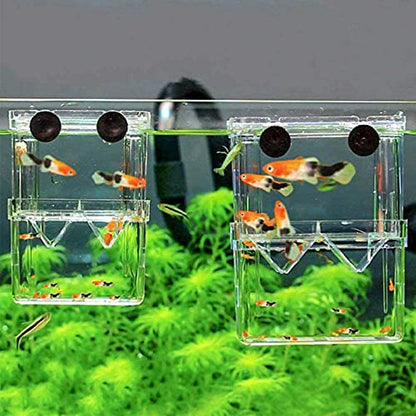 Aquarium Fish Breeder Box Plastic Fish Isolation Breeding Box Hatching Incubator Box for Baby Fish Shrimp Clownfish Guppy （S）