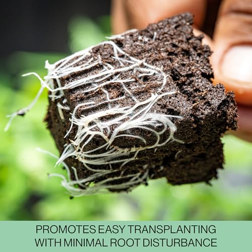 Seed Starter Trays, 144 Cells (24 Trays - 6 Cells Per Tray) + Plant Stakes - size: 24 Trays (144 Cells)
