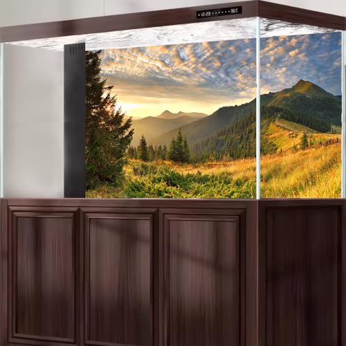 Sunset Mountain Landscape Aquarium Background Panoramic Mountain Valley Fish Tank Background Majestic Cloudy Blue Sky Pine Forest Terrarium Backgrounds Foggy Woodland Reptile Tank Backgrounds 36x18in