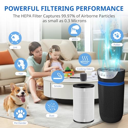 AP-PET35 AP-T30 Replacement Filter Compatible with HoMedics TotalClean Air Purifier Models 5-in-1 AP-T30FL AP-T30WT AP-PET35FL AP-PET35-WT, 360° Filtration 5 Layers 3 in 1 HEPA Filter, 2 Pack - style: AP-T30/AP-PET35 2 Pack