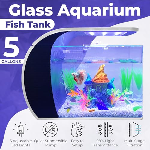 5 Gallon Fish Tank - Arc-Shaped Glass Tank w/LED Lights - Fish Tank Kit w/Filter, Water Pump, Bag of Filter Media & More - Beautiful Aquarium Set for Office & Home - Easy Assembly Starter Kit