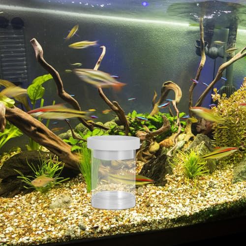 Floating Fish Incubator Breeding Isolation Box with Egg Isolation Net, Small White Aquarium Hatchery Divider for Guppy Fry Hatching and Fish Tank Nursery