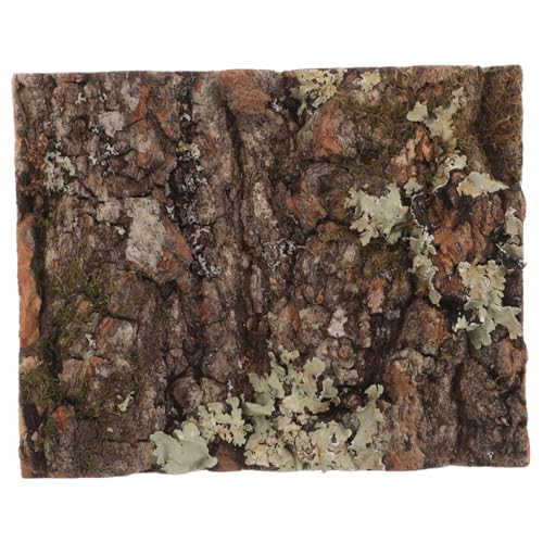 INOOMP Cork Bark Background for Reptile Tanks and Aquariums Elegant Natural Tree Bark Decor for Terrarium Wall Decoration Luxurious Color