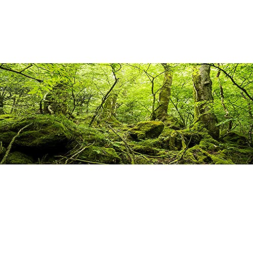 30x12 inches Durable Polyester Deep Rainforest Terrarium Background Tropical Aquarium Background Green Huge Trees Peaceful Forest Moss Plants Reptile Habitat Photography Backdrop - size: 30x12in-P