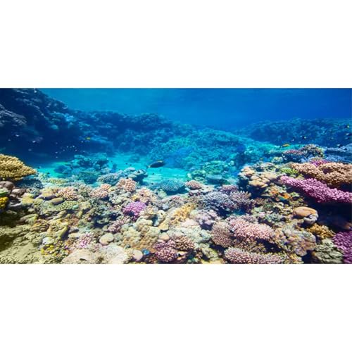AWERT Aquarium Background Coral Reef Tropical Fish Undersea Fish Tank Background 36x20 inches Durable Polyester Background