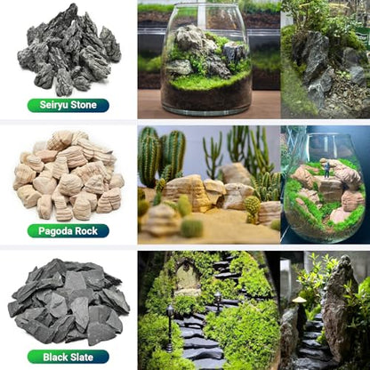 Natural Rocks Seiryu Stone 1-2.5 Inches Decorative Stones for Fairy Gardens,Miniature Landscaping,Bonsai,DIY Crafts, Aquariums & Reptile Terrariums-1lb