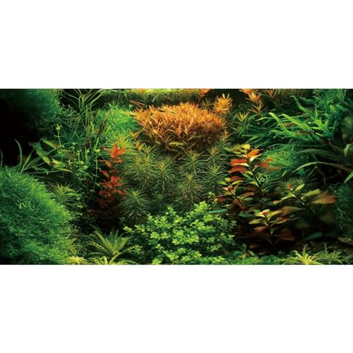 AWERT 72x16 inches Aquarium Background Seagrass Aquarium Background Aquatic Plant River Bed & Lake Fish Tank Background Vinyl Background - size: 72x16in/180x40cm