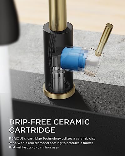 FORIOUS Kitchen Faucets with Pull Down Sprayer, High Arc Single Handle Classic Stainless Steel Sink Faucet 1 or 3 Hole, Suitable for Farmhouse Camper Laundry Rv Bar, Black Gold - color: Black&Gold, style: Classic