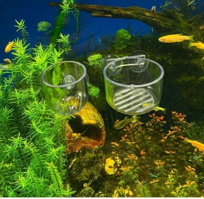 2Pcs Aquarium Plant Pot, Glass Fish Tank Planter with Suction Cups, Plants Holder Decoration Cup
