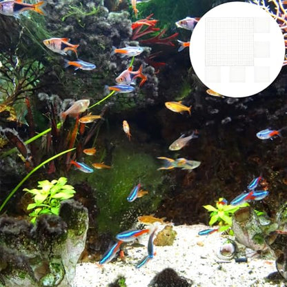 MERRYHAPY 6pcs Fish Tank Partition Boards Aquarium Filtering Plates 30x30cm White Pe Filter Grid Divider for Breeding Tanks and Aquarium Bottom Separation