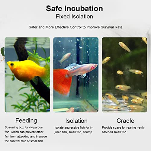 Transparent Acrylic Fish Tank Breeding Box, Aquarium Isolation Incubator, Separation Breeder Box for Fish, 30 cm x 10 cm x 10 cm