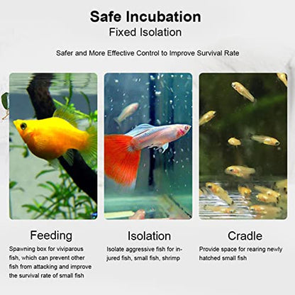 Transparent Acrylic Fish Tank Breeding Box, Aquarium Isolation Incubator, Separation Breeder Box for Fish, 30 cm x 10 cm x 10 cm