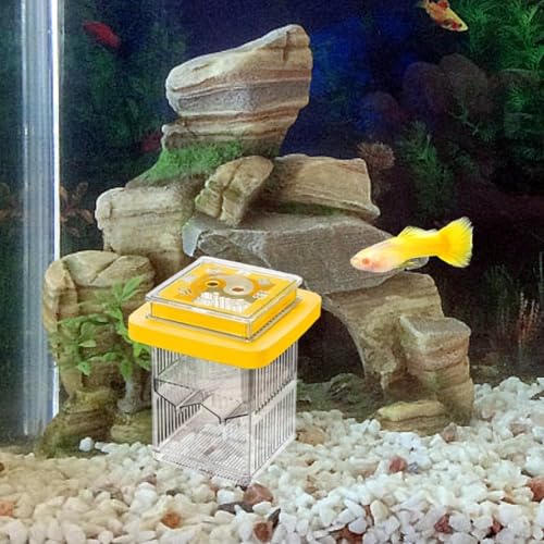 Guppy Breeder Box Acclimation Case Detachable Clear Frame Aquarium Supplies Fish Tank Divider Fishtank Breeder for Home Use, Yellow