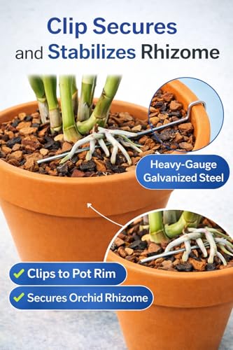 Galvanized Rhizome Clip for Clay Pot 6 inch 25 Pack - size: 6 Inch